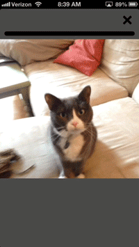 Vine Interactions