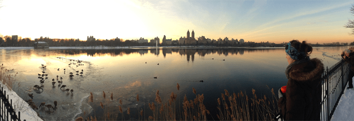 New York skyline